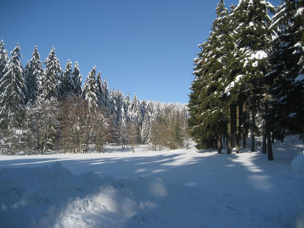 Ferienwohnung Schneemann Hohegeiß Стая снимка