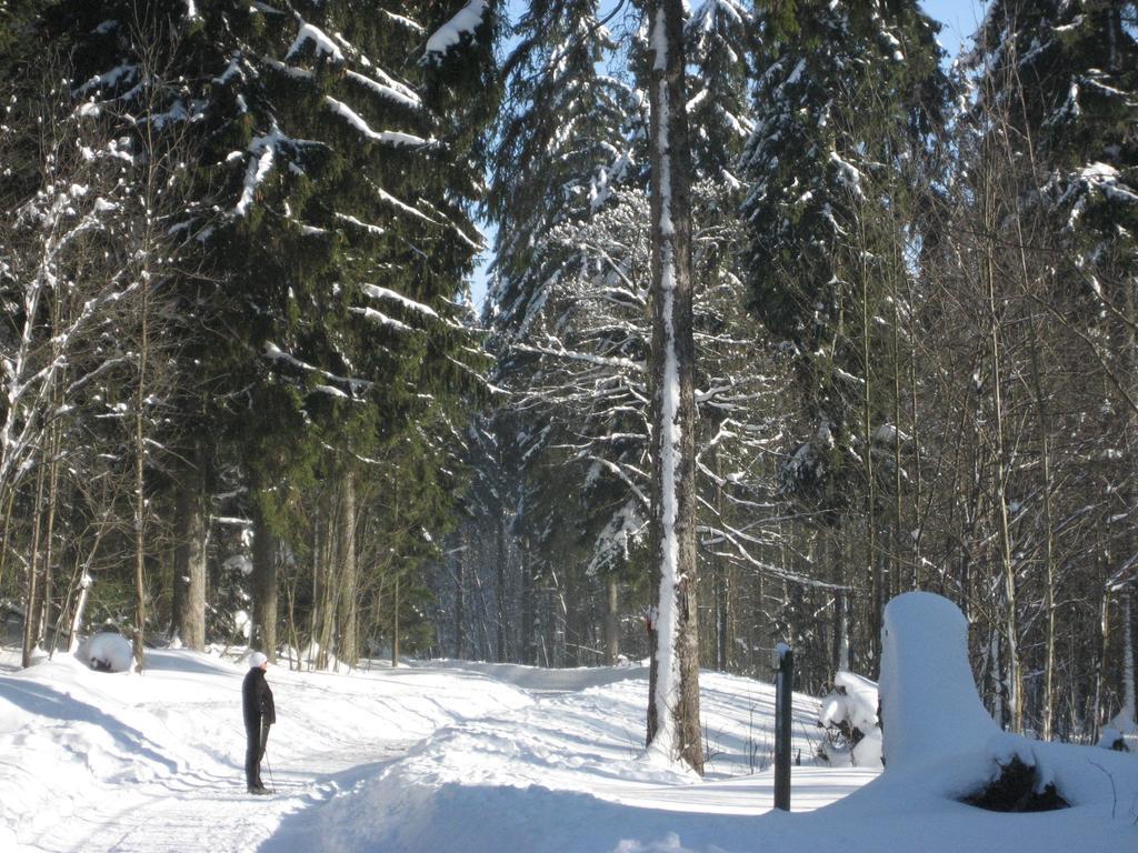 Ferienwohnung Schneemann Hohegeiß Стая снимка