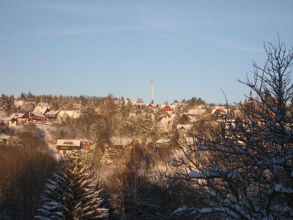 Ferienwohnung Schneemann Hohegeiß Екстериор снимка