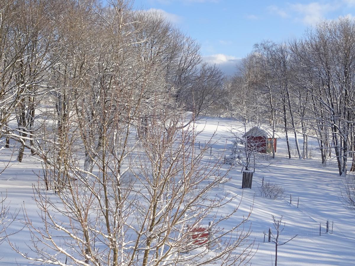 Ferienwohnung Schneemann Hohegeiß Екстериор снимка