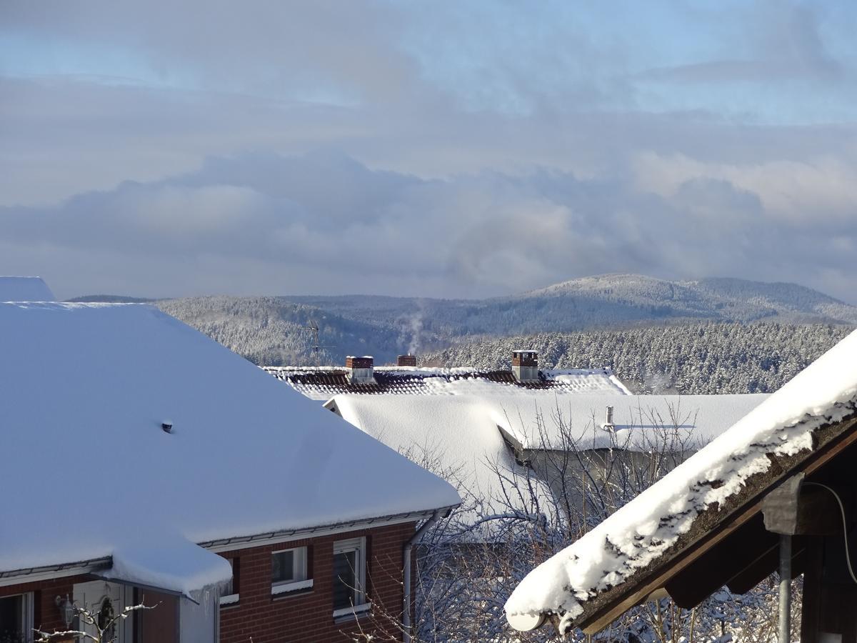 Ferienwohnung Schneemann Hohegeiß Екстериор снимка