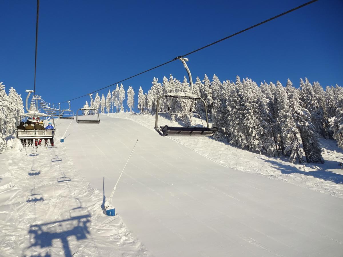 Ferienwohnung Schneemann Hohegeiß Екстериор снимка